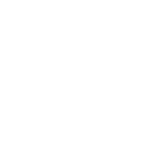 ST-Icons_Government White