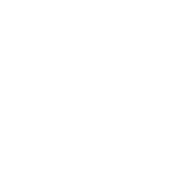 ST-Icons_Government White